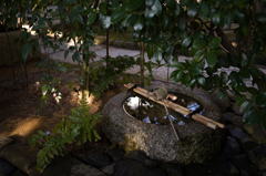 京都妙心寺　退蔵院　18