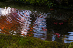 京都天授庵　紅葉7