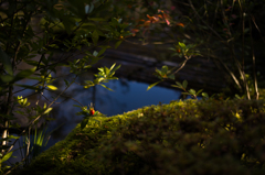 京都妙心寺　退蔵院　23