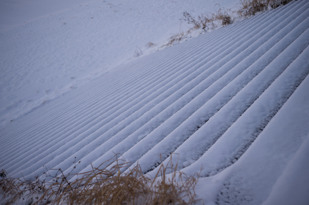 雪の階段