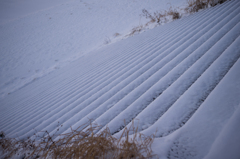 雪の階段
