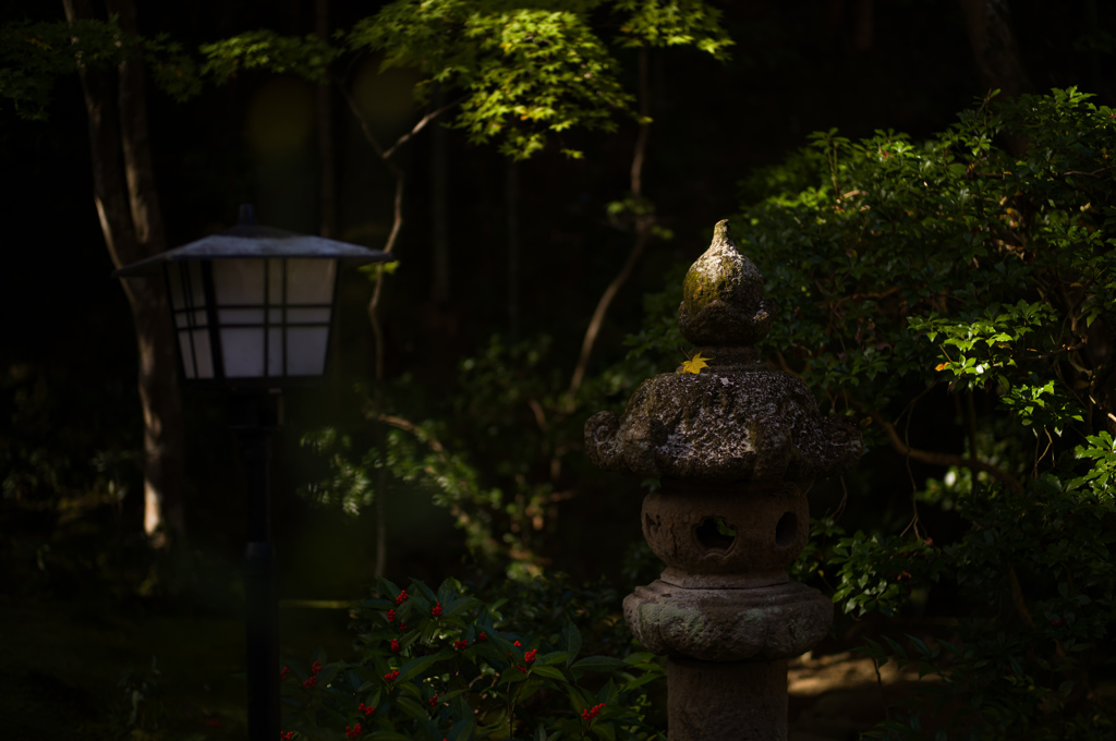 京都祇王寺　19