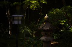 京都祇王寺　19