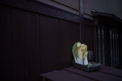 脇道の白菜