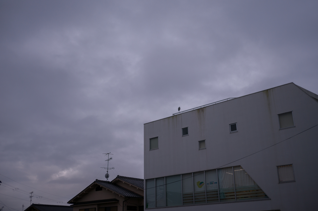 雨のち散歩　11