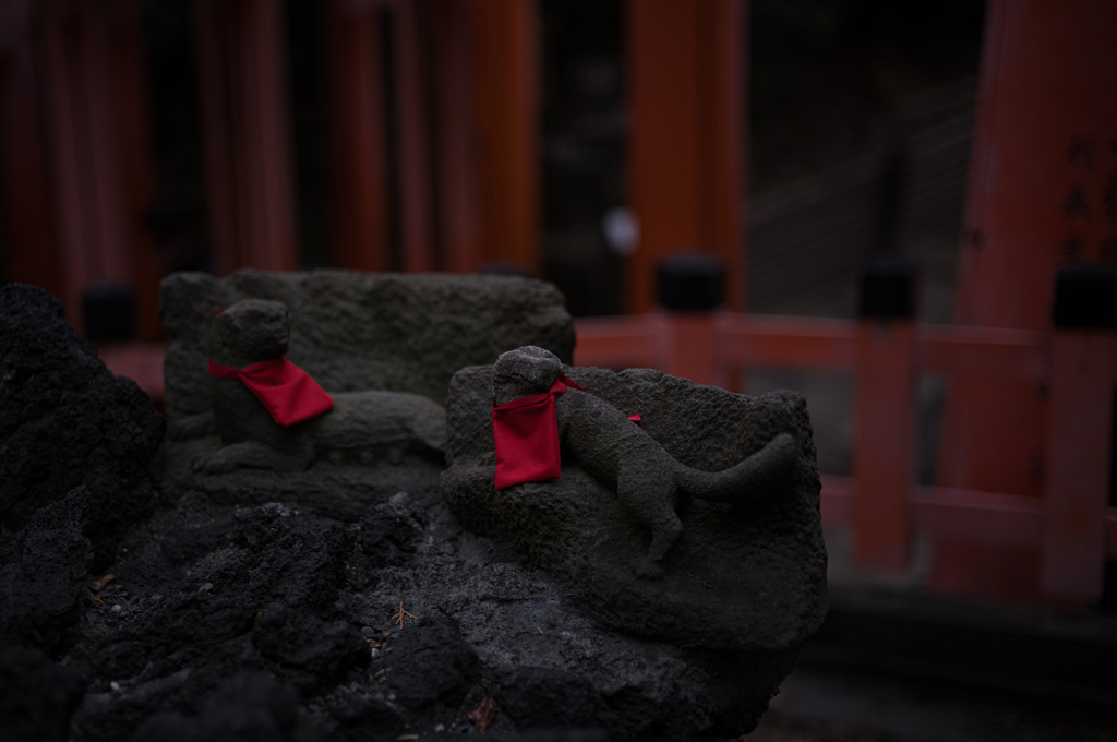 風化の狐
