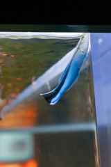 暑いので水族館へ 11