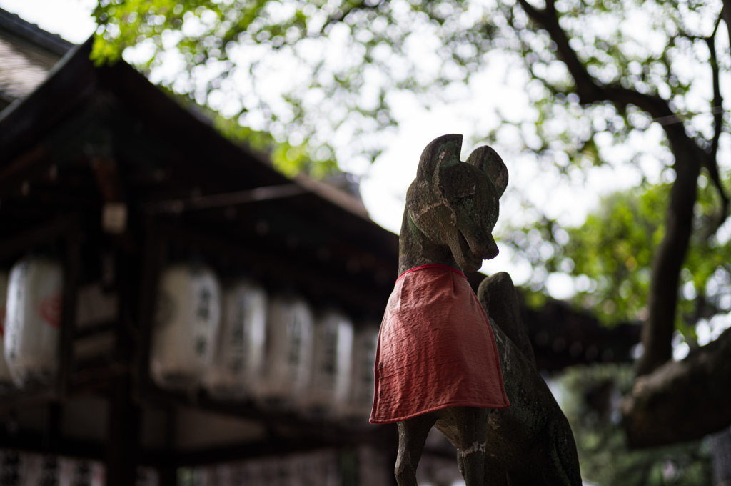 右狐