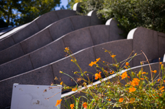 鶴見緑地公園　1