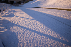雪と影