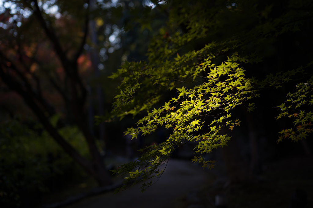 北野天満宮　9