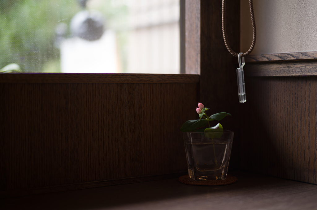 喫茶　窓際の花