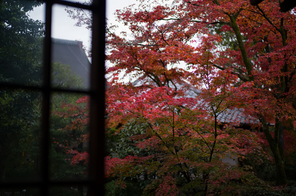 京都建仁寺　9
