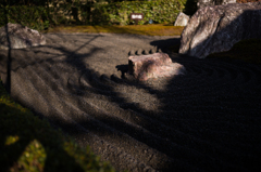 京都妙心寺　退蔵院　11