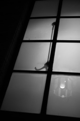 窓の影