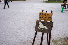 宣伝