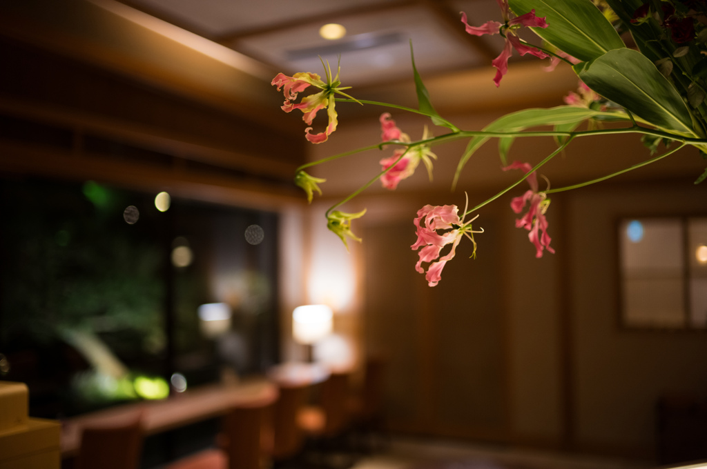夜の花