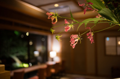 夜の花