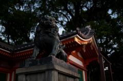 夕の狛犬