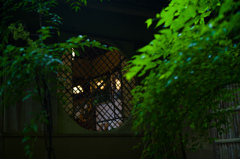 雨上がりの祇王寺　3