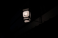 蛸の夜