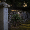 山頂でひっそりと
