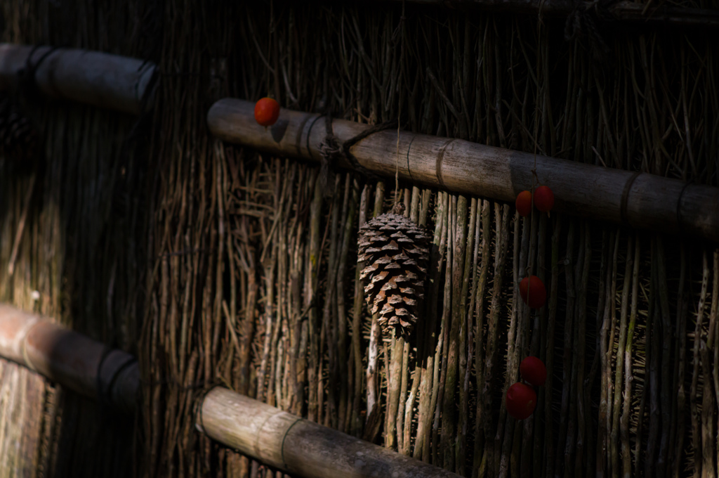 京都祇王寺　23