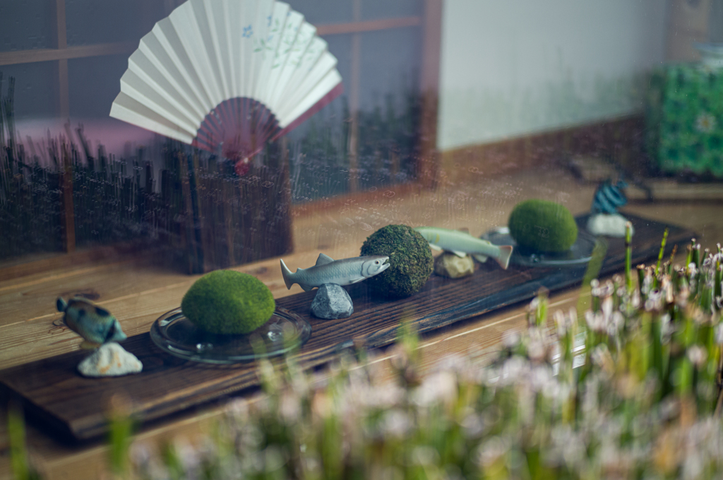 窓からの風景。苔玉と魚