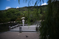 岡崎のひと