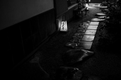 産年坂の小路