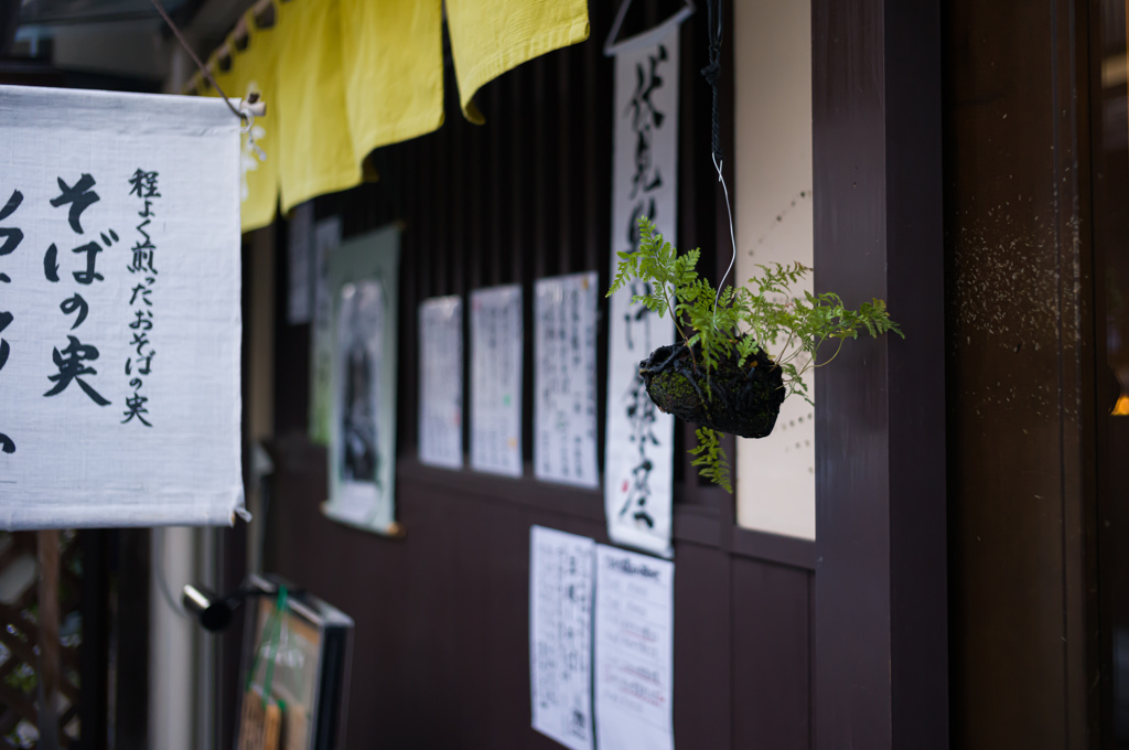 伏見午後の散歩　10