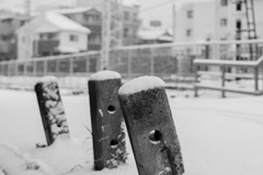 雪の路肩で
