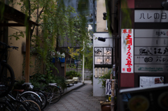 柳小路のうなぎ日和