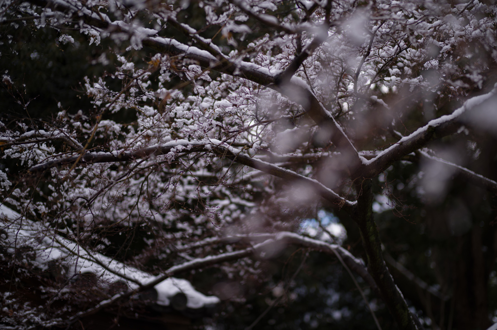雪解けの風景　3