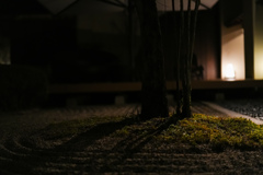 夜の庭園