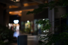 店舗横で