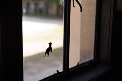 窓の風景。その1