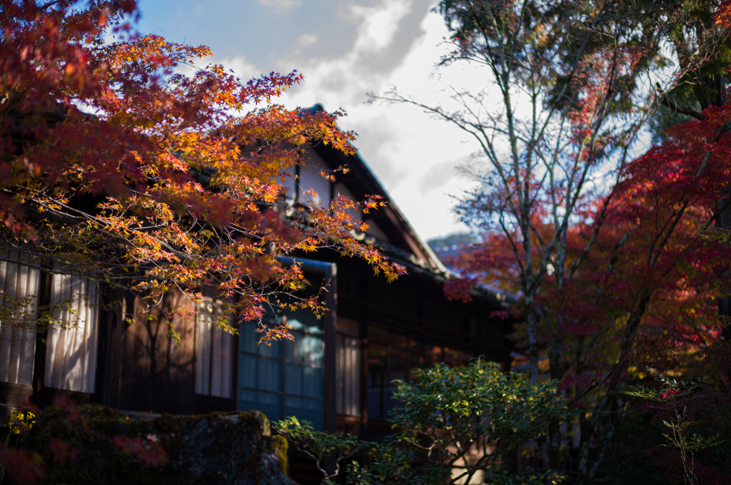 京都天授庵　紅葉6