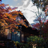 京都天授庵　紅葉6