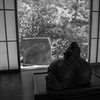 布袋