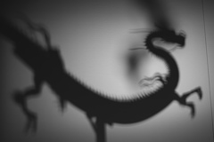 龍陰世界