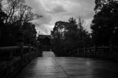 雨の石畳