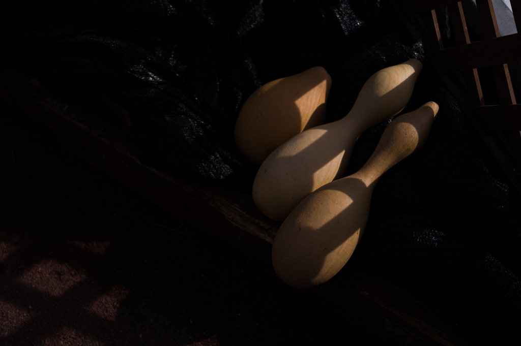 京都植物園　13