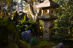 京都妙心寺　退蔵院　17