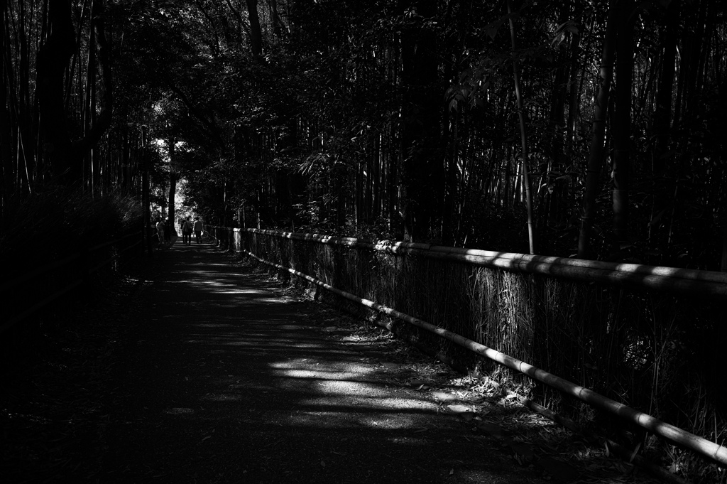 竹林歩道
