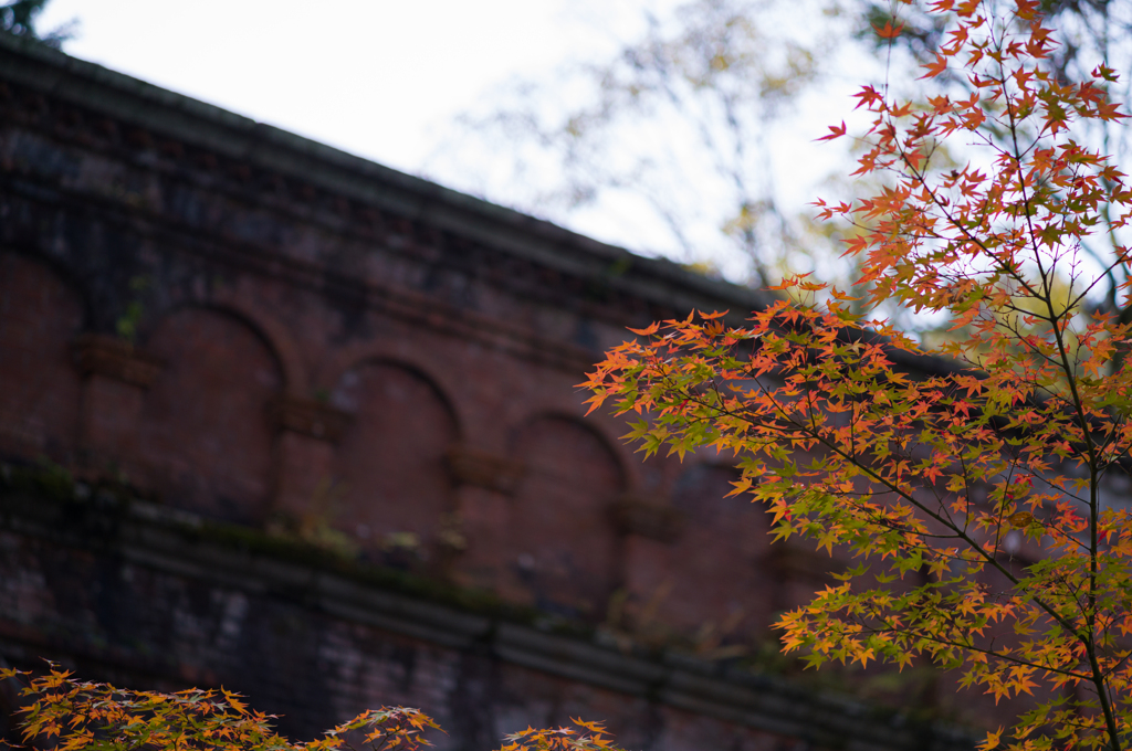 京都南禅寺　紅葉4