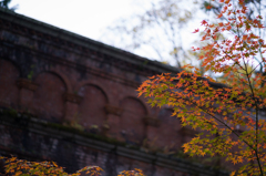 京都南禅寺　紅葉4