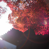 京都南禅寺　紅葉18