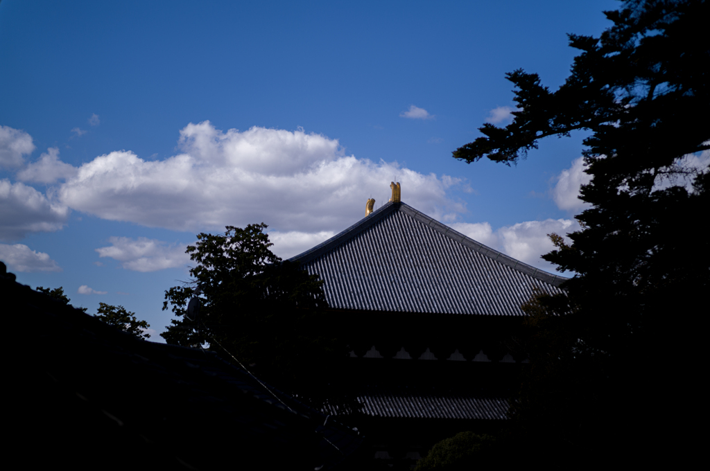 東大寺の空