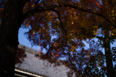 京都南禅寺　紅葉12